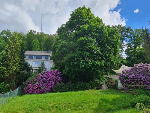 Foto - 2 Zimmer Etagenwohnung zur Miete in Siegen