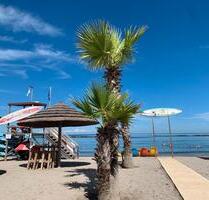 Familienurlaub mit Hund am Meer Adria - Berlin Reinickendorf