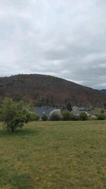 Foto - Grundst&uuml;ck in Herborn zur Miete