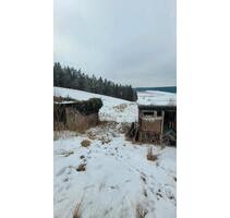 FreizeitgrundstückWiese zu verpachten - Hohenberg an der Eger