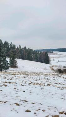Foto - Grundst&uuml;ck in Hohenberg an der Eger