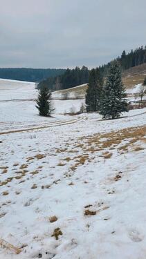 Foto - Grundst&uuml;ck in Hohenberg an der Eger zur Miete