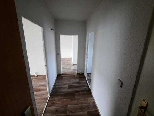 Foto - 3 Zimmer Etagenwohnung in Cottbus