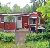 Mobilheim am Moränasee, idyllisch am Waldrand gelegen - Soltau