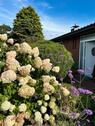 Foto - 6 Zimmer Einfamilienhaus in Cuxhaven
