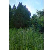 Wohnung Haus in Hüffler mit Garten - Herschweiler-Pettersheim