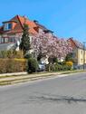 Foto - 3 Zi. Wohnung in sehr guter ruhigen Lage in Greifswald
