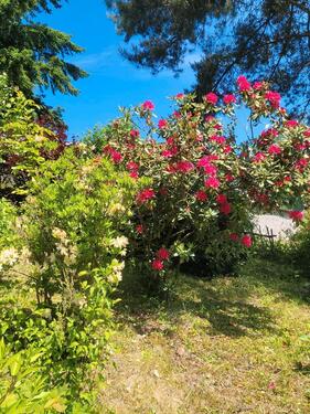Foto - Einfamilienhaus zum Kaufen in Stadtroda