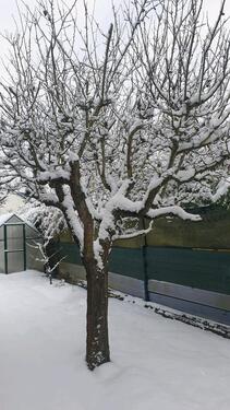 Foto - Einfamilienhaus in Kaufungen zur Miete