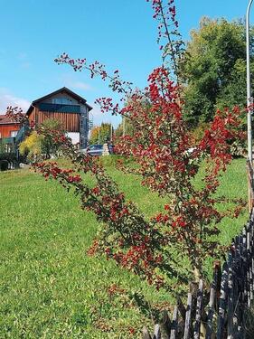 Foto - Vermietetes Hotelapartment mit Gartenzugang in Viechtach