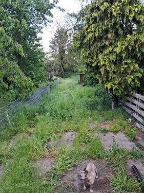 Foto - 3 Zimmer Reihenhaus zum Kaufen in Pasewalk