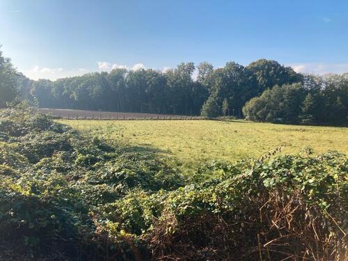 Foto - Grundst&uuml;ck in Bohmte