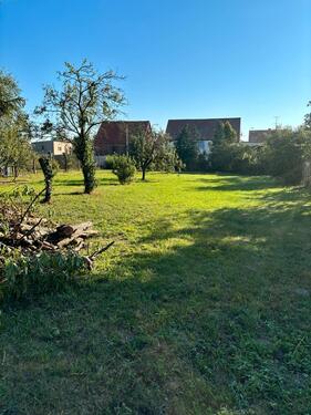 Foto - Einfamilienhaus in Raguhn-Jeßnitz zum Kaufen