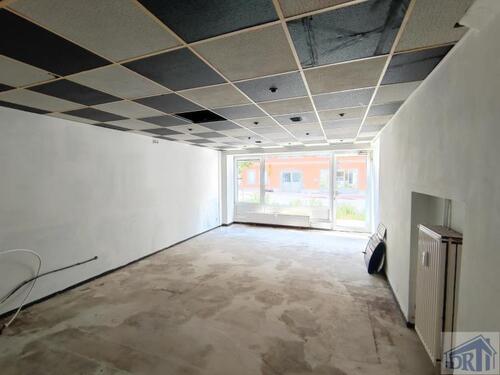 Foto - andere in Zittau zur Miete