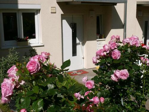 Foto - Provisionsfrei kaufen: Maisonette in Top-Lage