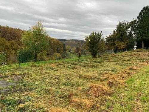 Foto - 5 Zimmer Doppelhaushälfte zum Kaufen in Wipperfürth