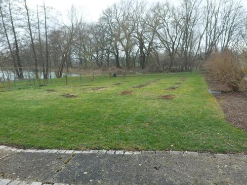 Foto - Grundstück zur Miete in Helmstedt