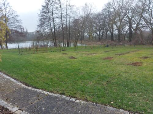 Foto - Grundstück in Helmstedt