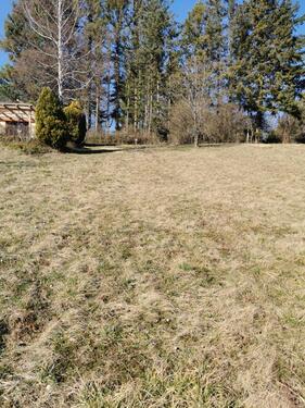 Foto - Grundstück in Knittlingen zur Miete