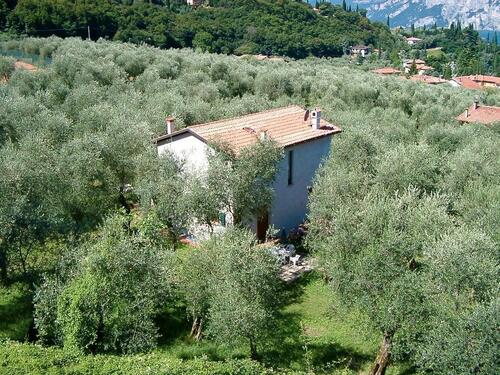 Foto - Last Minute • Freistehendes Ferienhaus Casa Laura in einem 2500 qm großen Olivenhain in Malcesine am Gardasee