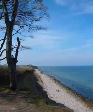Foto - Charmante Erdgeschosswohnung mit Terrasse nahe der Ostsee