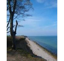 Charmante Erdgeschosswohnung mit Terrasse nahe der Ostsee - Oldenburg in Holstein