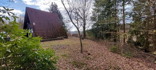 Foto - Nurdachhaus - großes Grundstück am Wald - Ferienpark Machtlos