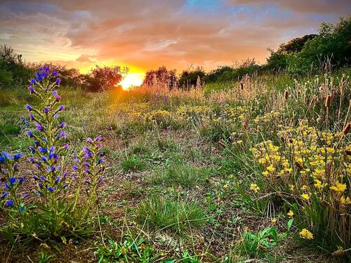 Foto - andere zur Miete in Wettin-Löbejün
