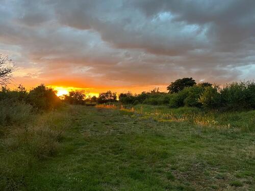Foto - andere in Wettin-Löbejün zur Miete