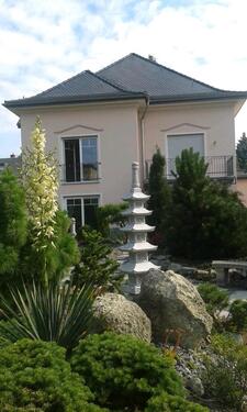 Foto - gr.Einfamilienhaus mit japanischen Garten, Chemnitz, ruhig