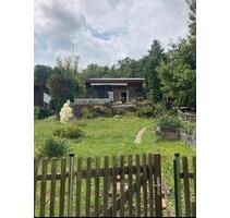 Pachtgarten in der Oststadt mit Pool und allem drum und dran:) - Eisenach