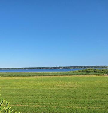 Foto - andere in Malchin