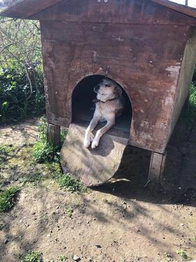 Foto - andere zur Miete in München
