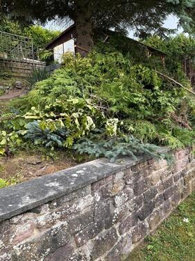 Foto - Grundst&uuml;ck zur Miete in Sangerhausen