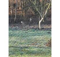 Zweifamilienhaus zu verkaufen - 485.000,00&nbsp;EUR Kaufpreis, ca.&nbsp; 240,00&nbsp;m&sup2; in Bamberg (PLZ: 96050) Gereuth