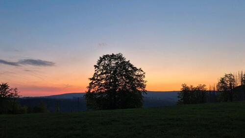 Foto - andere in Braunlage