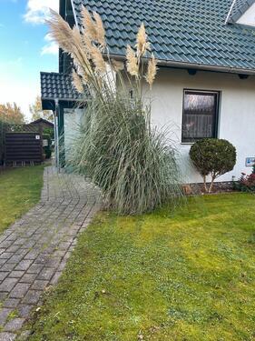 Foto - Ostseebad Dierhagen!1,5 Raum Whg auf Zeit bis 30.4.26