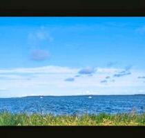 Große Ferienwohnung auf Rügen Oase - Gingst