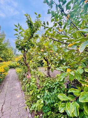 Foto - Kleingarten zentral und strandnah