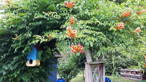 Foto - Grundst&uuml;ck in Lüneburg