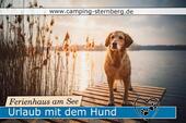 Foto - Urlaub mit Hund im Ferienhaus am See