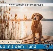 Urlaub mit Hund im Ferienhaus am See - Sternberg