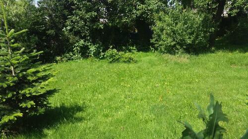 Foto - Einfamilienhaus in 56370 Schönborn