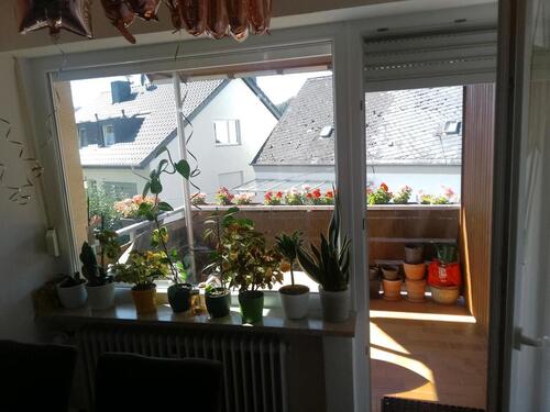 Foto - Etagenwohnung in Dieblich