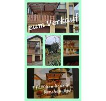 3 Familien-Generationenhaus 77871 RENCHEN-ULM