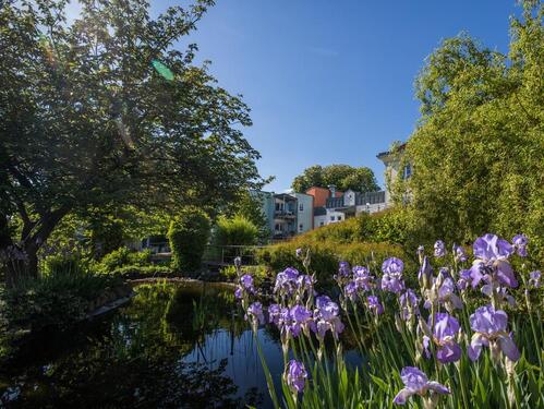 Foto - Erdgeschoßwohnung in Koblenz zum Kaufen