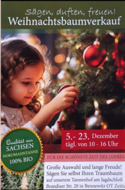 Foto - Prov.-FREI. TOP Lager, Produktion, Büro (auch kpl. Übernahme Zerspanug Mazaktechnik in der Nachbarhalle + ca.400m² mgl.) , Sozialräume, Parkfläche PKWLKW, große Freifläche, Lichtdach, Heizung