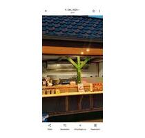 Gastronomie Abzugshaube mit Motor - Hildesheim Oststadt/Stadtfeld