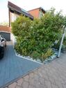 Foto - 5 Zimmer Doppelhaushälfte zum Kaufen in Gau-Odernheim