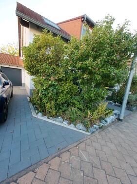 Foto - 5 Zimmer Doppelhaushälfte zum Kaufen in Gau-Odernheim